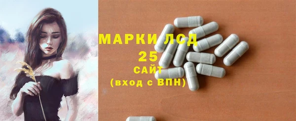 PSILOCYBIN Абаза
