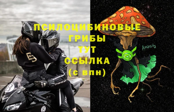 PSILOCYBIN Абаза