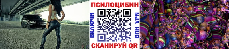 shop формула Кедровый Псилоцибиновые грибы GOLDEN TEACHER наркотики